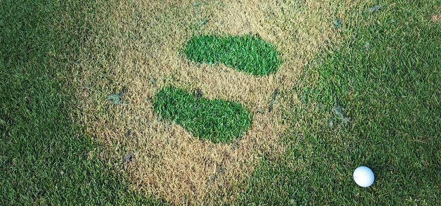 Save the Greens & Apply Sunscreen off the Scene!