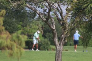 IMG_2767.jpg