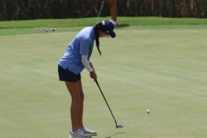 IMG_4241.jpg
