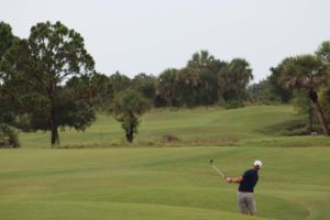 IMG_6637.jpg