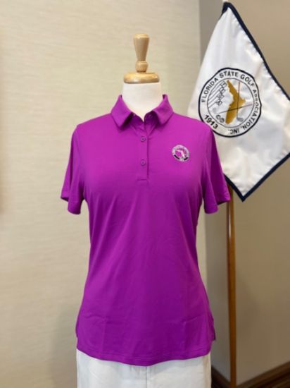 Picture of Under Armour Wmns Polo - Fuschia (3)