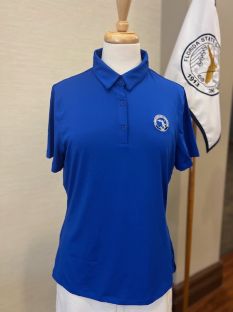 Picture of Under Armour Wmns Polo - Blue (1)