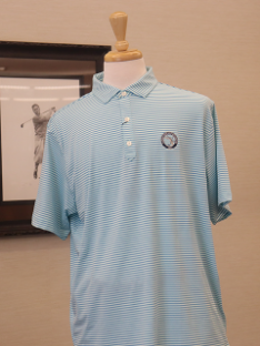 Picture of FootJoy Smooth Stripe Mint/Blu/Wht (4)