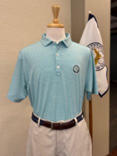 Picture of FootJoy Smooth Stripe Mint/Blu/Wht (4)