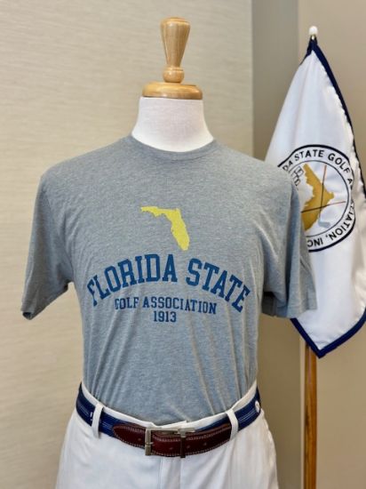 Picture of FSGA tee shirt (2)